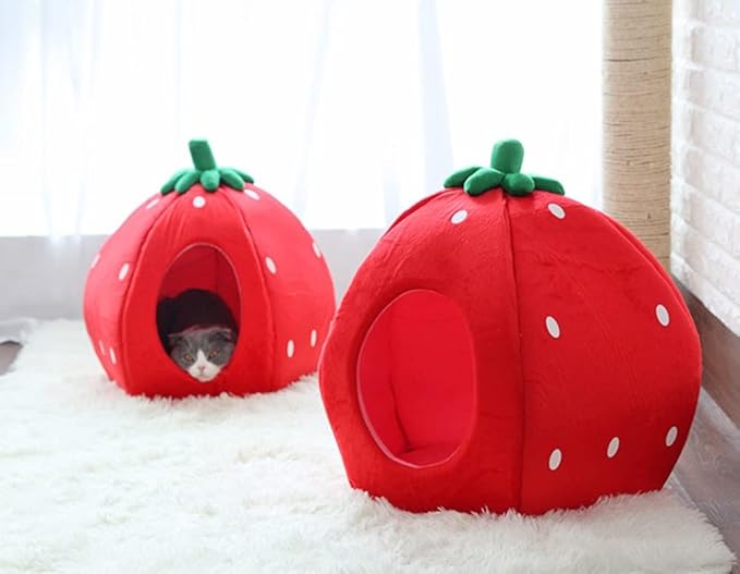 YML Strawberry Pet Bed House for Cats, Dogs, Kittens, Puppies, Rabbits, Medium, Red