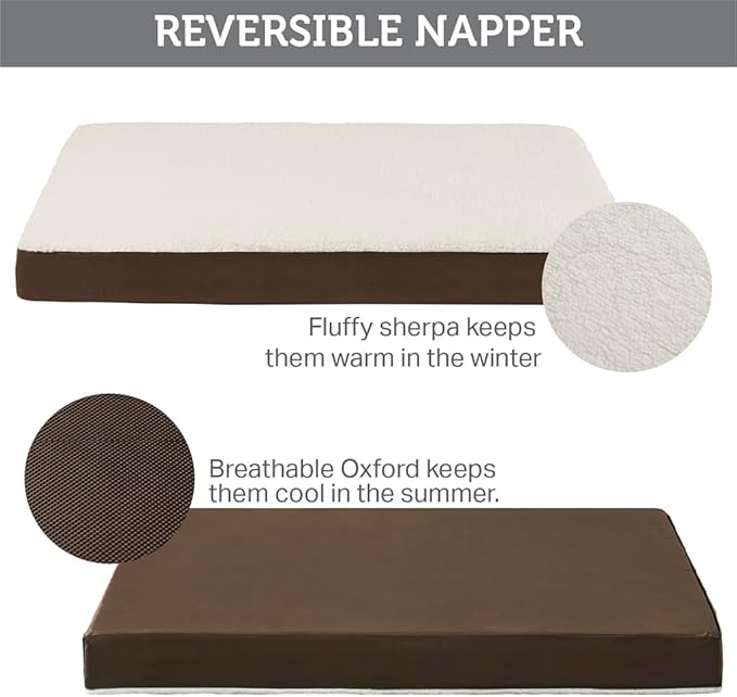 Friends Forever Orthopedic Dog Bed 44x32x3.5