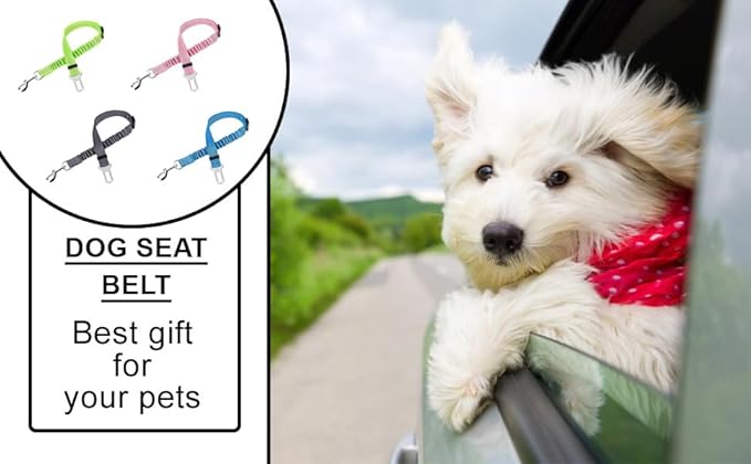 Best Dog Supplies Dog Seatbelt