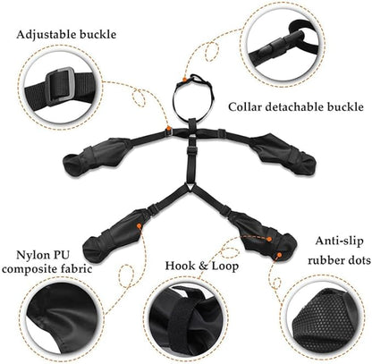 Dog Paw Boot Leggings