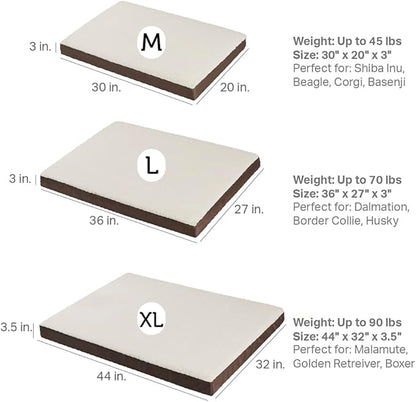 Friends Forever Orthopedic Dog Bed 30x20x3