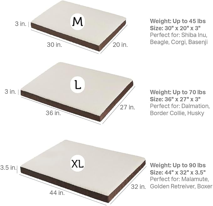 Friends Forever Orthopedic Dog Bed 36x27x3