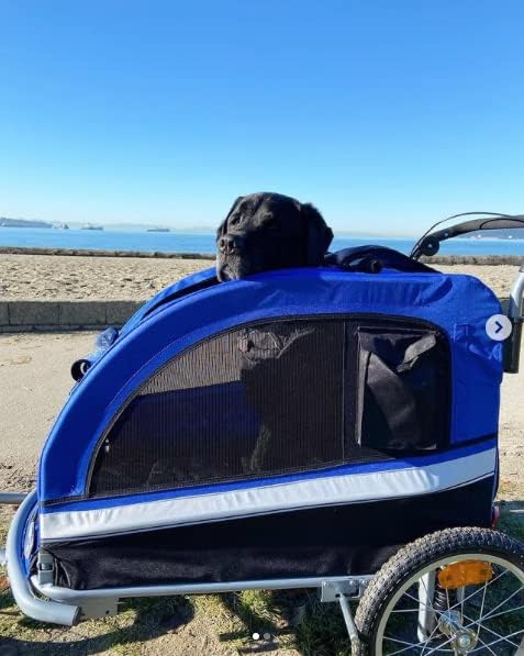 Booyah Extra Large Pet Bike Trailer Dog Stroller