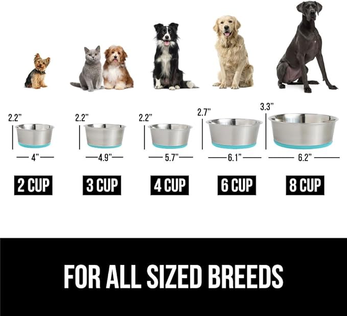 Gorilla Grip Stainless Steel Metal Dog Bowl Set of 2, Rubber Base, Heavy Duty Feeding Dishes, Food Grade BPA Free, Less Sliding, Quiet Pet Bowls for Cats and Dogs, Holds 6 Cups (48 fl oz), Turquoise