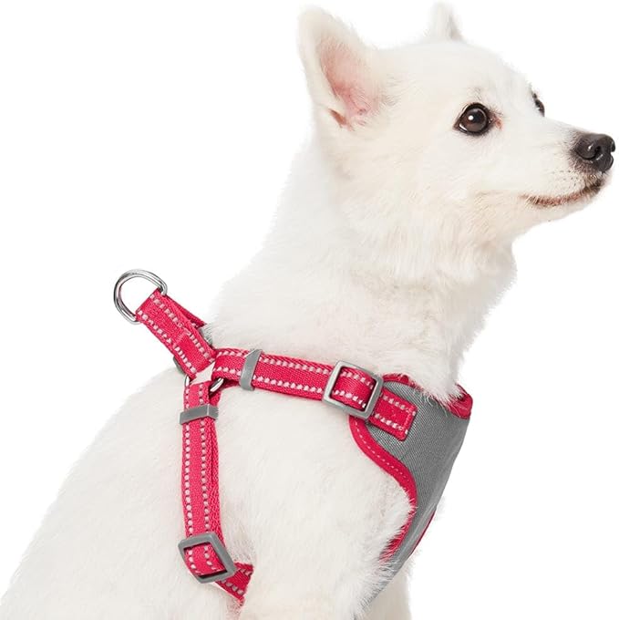 Blueberry Pet Essentials Pastel Color Reflective Matching Dog Harness Vest and Leash Set in Very Berry, Adjustable Harness with 5 ft Leash for Medium Dogs