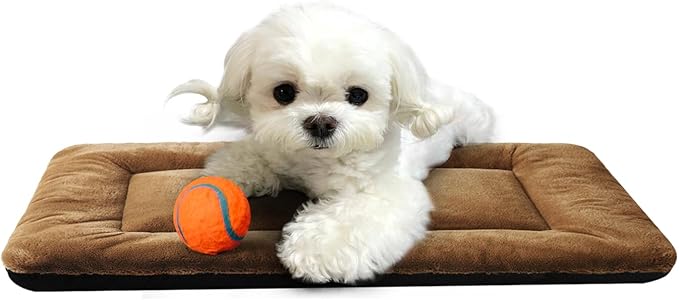 Dog Beds Crate Pad for Extra Small Dogs Fit Metal Dog Crates 22inch