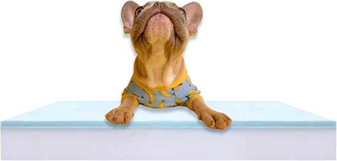 Pet Bed Foam Insert/Dog Bed Pad (3"x27"x41")