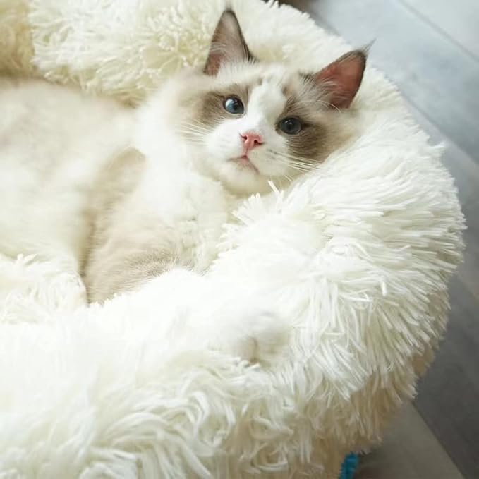 Geizire Dog Bed for Small and Medium Dogs