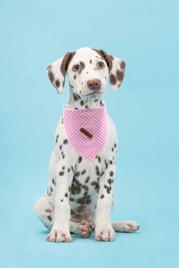 Lionet Paws Dog Bandana Washable Cotton Handkerchief Scarf