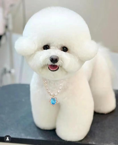 Pearl Dog Collar Elegant Oval Crystal Rhinestone Necklace Pet Jewelry for Cats Small Dogs Puppy Yorkie Chihuahua Cat Wedding Collar (Blue