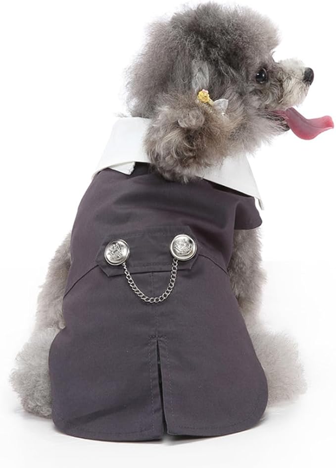 Puppy Tuxedo with Detachable Bowtie Prom Wedding Formal Wear Prince Costume for Small Dog (Large, Grey)