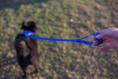EcoBark Dog Leash