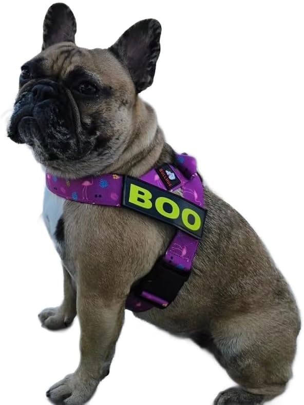 BULLHUG Harness – Made for Larger Chested Dogs Like English Bulldogs