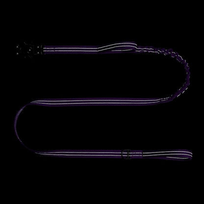 ICEFANG Tactical Dog Leash K9 Training 2 Control 6 FT)