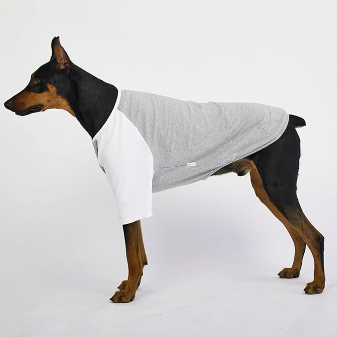 Dog Shirt for Small and Large Dogs Raglan Cotton T-Shirts Soft Breathable Dog Shirts pet Clothes Gray Series (3X-Large