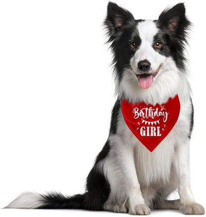 Birthday Girl Dog Bandana (D34)