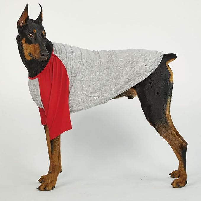 Dog Shirt for Small and Large Dogs Raglan Cotton T-Shirts Soft Breathable Dog Shirts pet Clothes Gray Series (X-Large