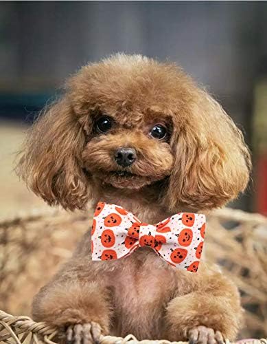 Lionet Paws Soft Comfortable Halloween Bowtie Dog Collar with Metal Buckle Adjustable Collars for Small Dog and Cat Gift 8-12in