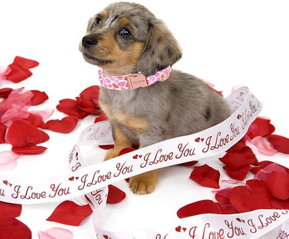 Unique Style Paws Valentine's Day Dog Collar Heart