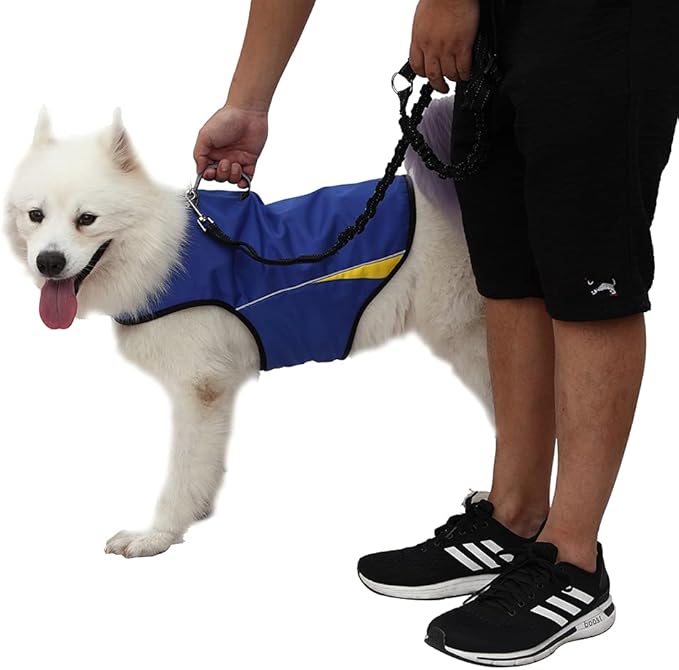Dog Anxiety Jacket Keep Calming Vest Thunder Coat