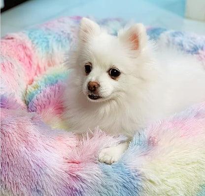 Geizire 24 inch Large Cat Bed Dog Bed for Cats Bed(24'', Rainbow)