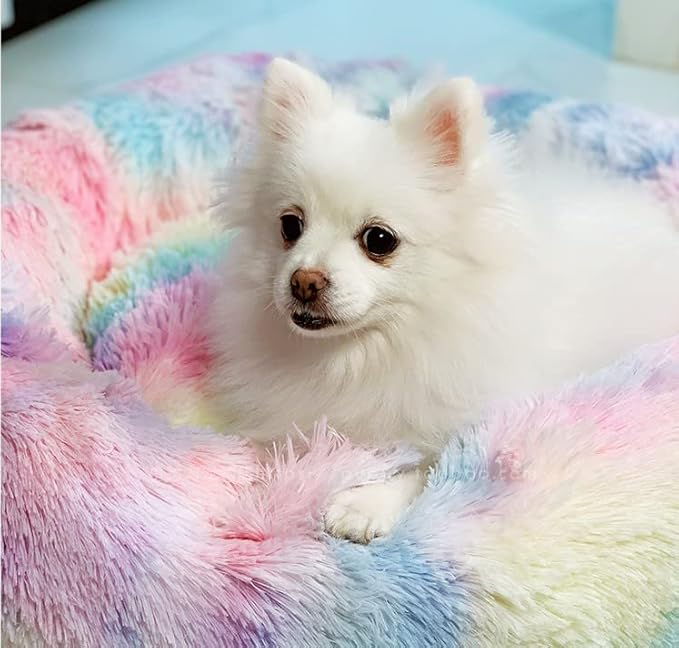 Geizire Cat Bed Dog Bed for Cats