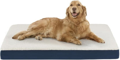 Friends Forever Orthopedic Dog Bed 44x32x3.5