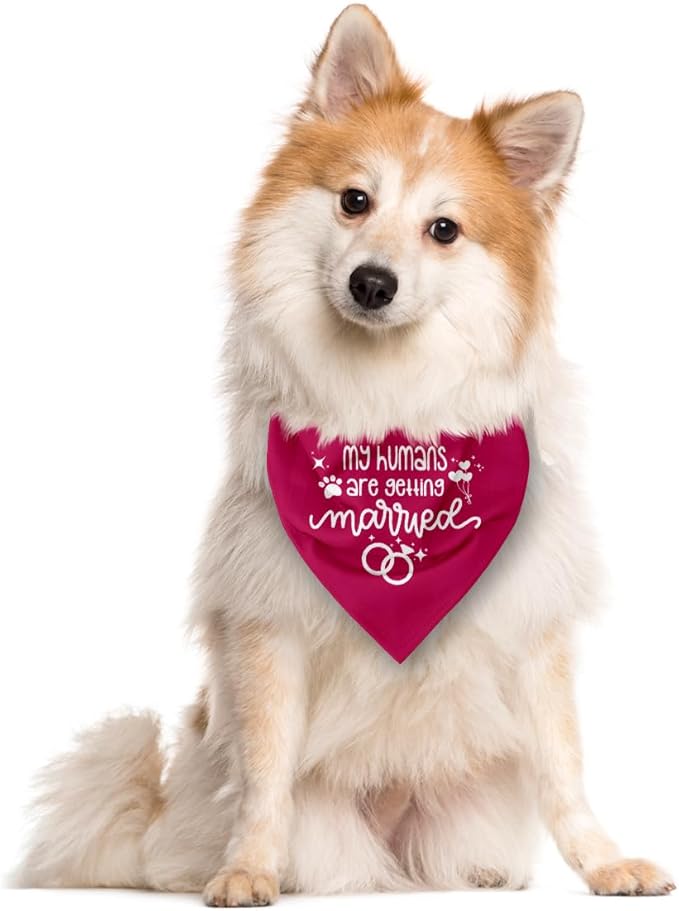 My Humans are Getting Married Dog Bandana (E44)