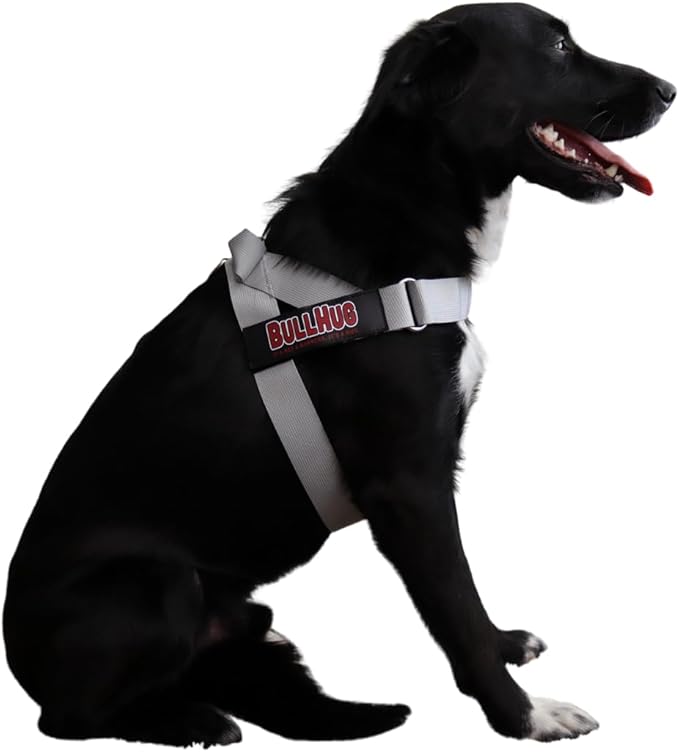 BULLHUG Harness – Made for Larger Chested Dogs Like English Bulldogs