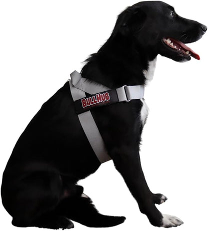 BULLHUG Harness – Made for Larger Chested Dogs Like English Bulldogs