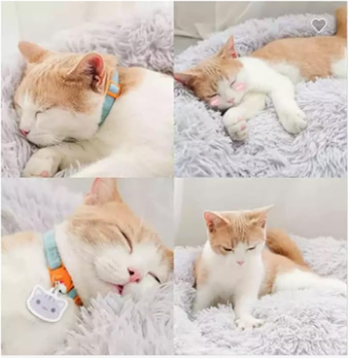 Cat Beds for Indoor Cats 20 Inch