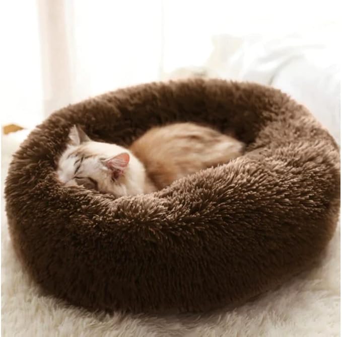 Geizire Cat Bed Dog Bed for Cats Bed(24'', Coffee)