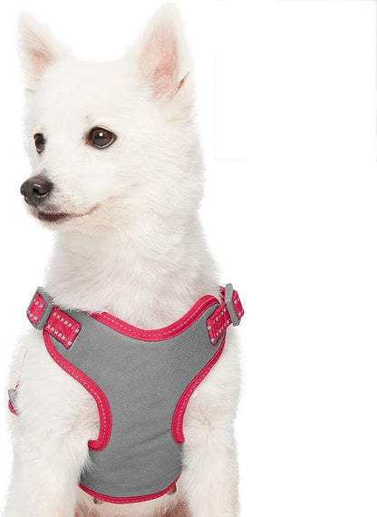 Blueberry Pet Essentials Pastel Color Reflective Matching Dog Harness Vest and Seatbelt Set in Very Berry