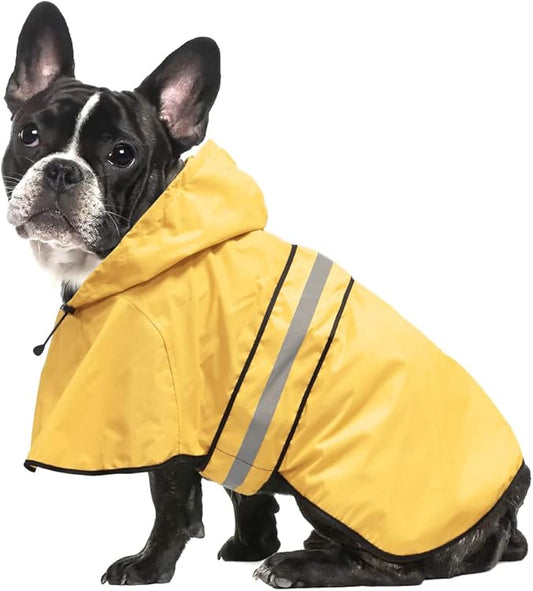 Raincoat Dogs