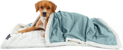 Best Friends by Sheri Premium Self-Warming Ilan Microfiber 40x50 in