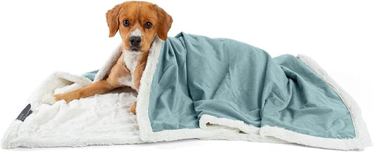 Best Friends by Sheri Premium Self-Warming Ilan Microfiber 40x50 in