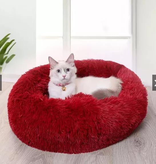 Geizire 24 inch Large Cat Bed Dog Bed for Cats Bed(24'', red)