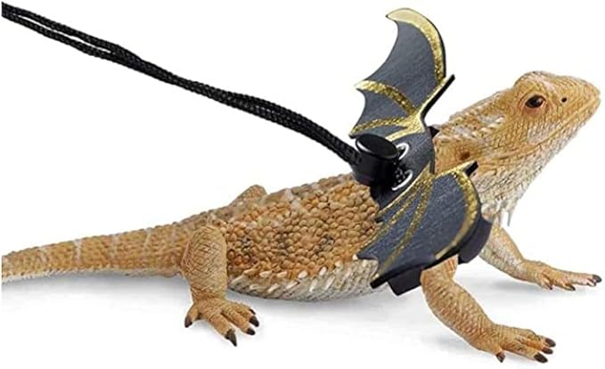 Adjustable Bearded Dragon Leash Harness,3 Size Pack Leather Wings Safty Walking Leash for Bearded Dragon Lizard Reptiles (Black)