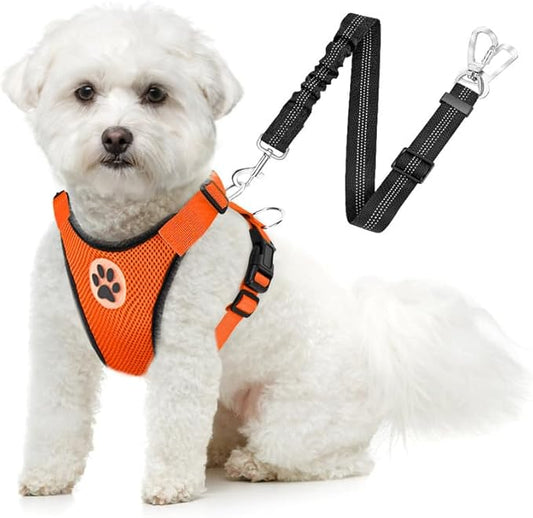 SlowTon Dog Seat Belt Harness for Car, Dog Car Harness Adjustable Mesh Breathable & Dog Seatbelt Safety Tether with Elastic Bungee for Small Medium Large Pets(Orange, Double Clip, XXXS)