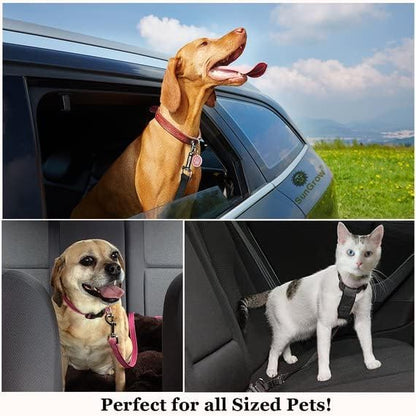 SunGrow Dog Seat Belt for Car, Adjustable Nylon Pet Seatbelt, Supports All Cars, Seatbelt for Dogs in Car, Dog Car Leash Seat Belt, Cats and Ferrets Seat Belt Harnesses