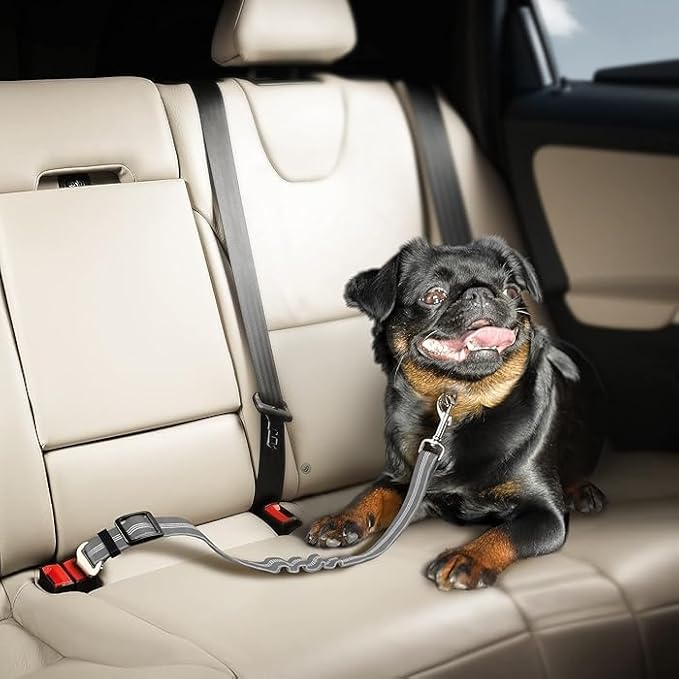 Best Dog Supplies Dog Car Seat Belt