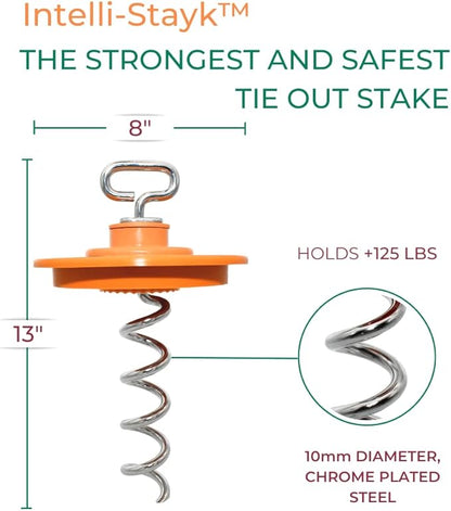 Intelli-Stayk: Beast Dog Surface-Lock Tie-Out Stake for Large