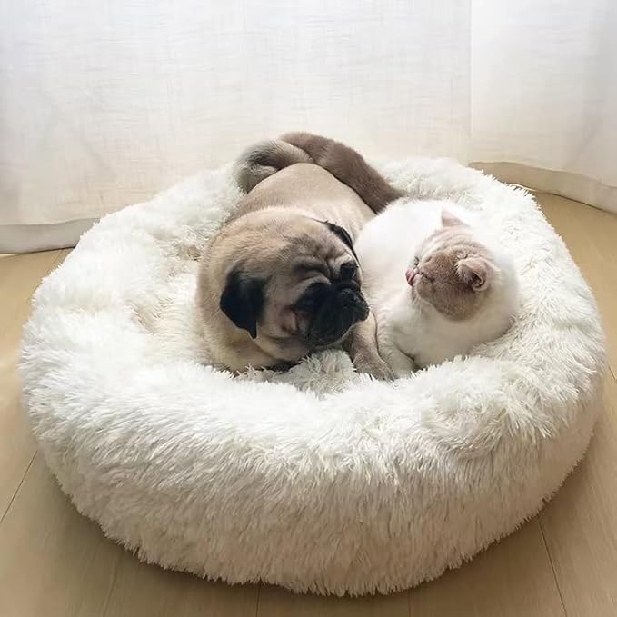 Geizire Dog Bed for Small and Medium Dogs