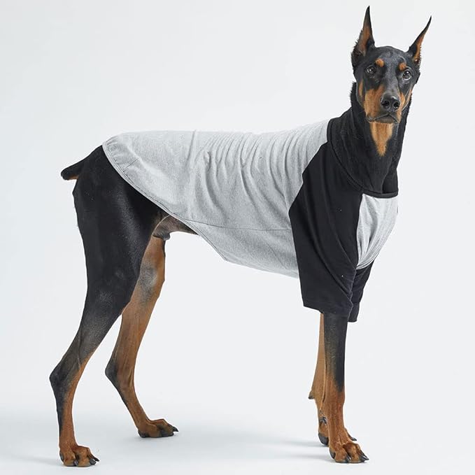 Dog Shirt for Small and Large Dogs Raglan Cotton T-Shirts Soft Breathable Dog Shirts pet Clothes Gray Series (X-Large