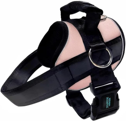 Joyride Harness 2.0 - The Original Side Ring No Pull Dog Harness - No Choke, Escape Proof, Reflective, 3 Leash Clips, Quick Fit Pet Vest - Easy Walks & Training - for Small, Medium & Large Dogs