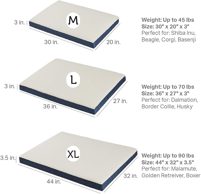 Friends Forever Orthopedic Dog Bed 36x27x3