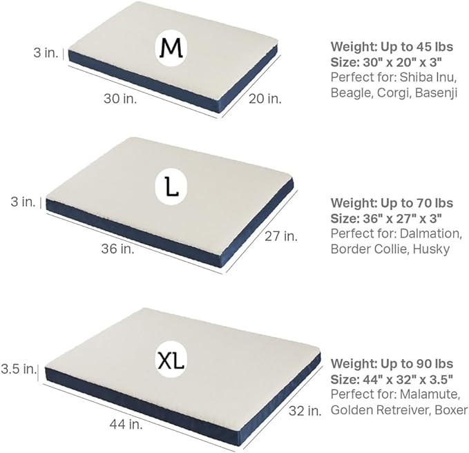 Friends Forever Orthopedic Dog Bed 30x20x3