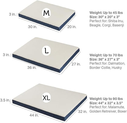 Friends Forever Orthopedic Dog Bed 30x20x3