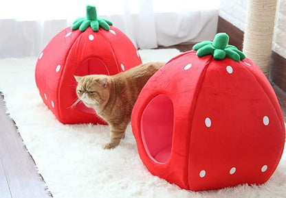 YML Strawberry Pet Bed House for Cats, Dogs, Kittens, Puppies, Rabbits, Medium, Red