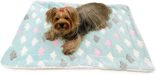 Klippo Double Layered Ultra Plush Dog/Puppy Blanket/Mat/Padding/Cover/Throw/Spread (Fluffy Clouds, Large)